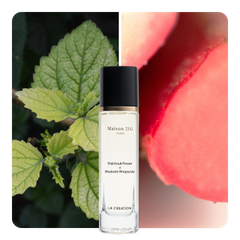 Nước hoa Patchouli Power x Rhubarb Rhapsody