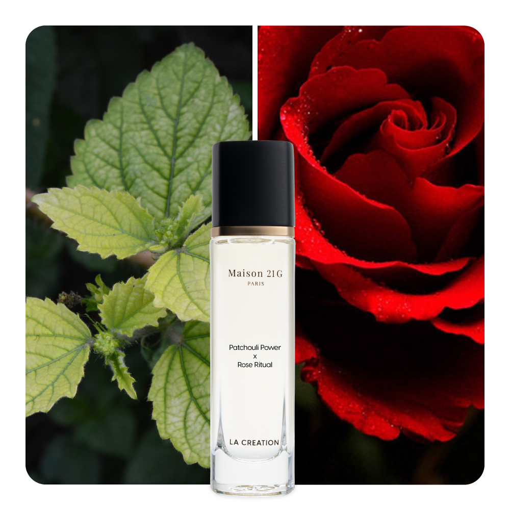 Nước hoa Patchouli Power x Rose Ritual