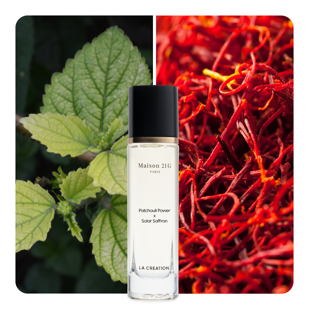 Nước hoa Patchouli Power x Solar Saffron