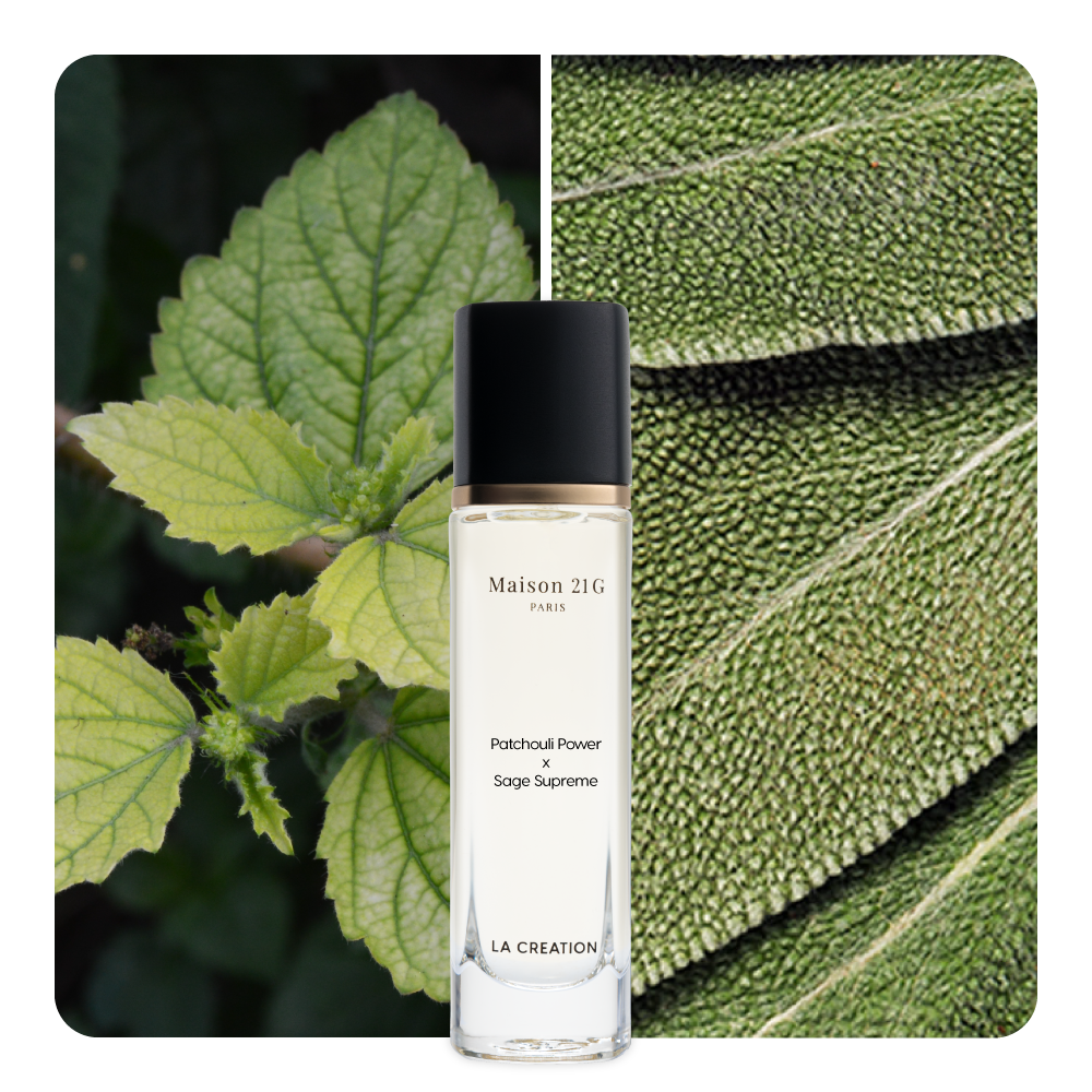Nước hoa Patchouli Power x Sage Supreme