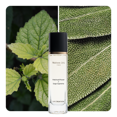 Nước hoa Patchouli Power x Sage Supreme