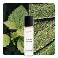 Nước hoa Patchouli Power x Sage Supreme