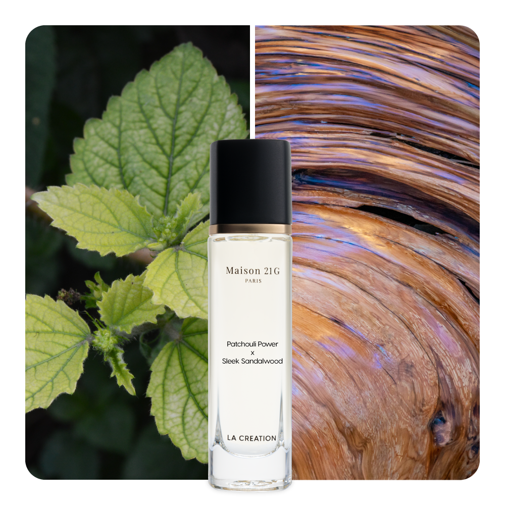 Nước hoa Patchouli Power x Sleek Sandalwood