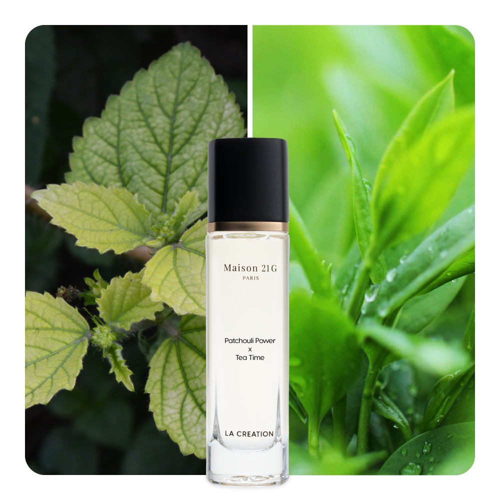 Nước hoa Patchouli Power x Tea Time