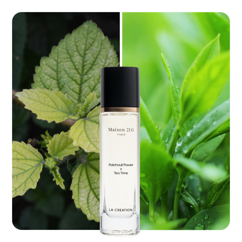 Nước hoa Patchouli Power x Tea Time