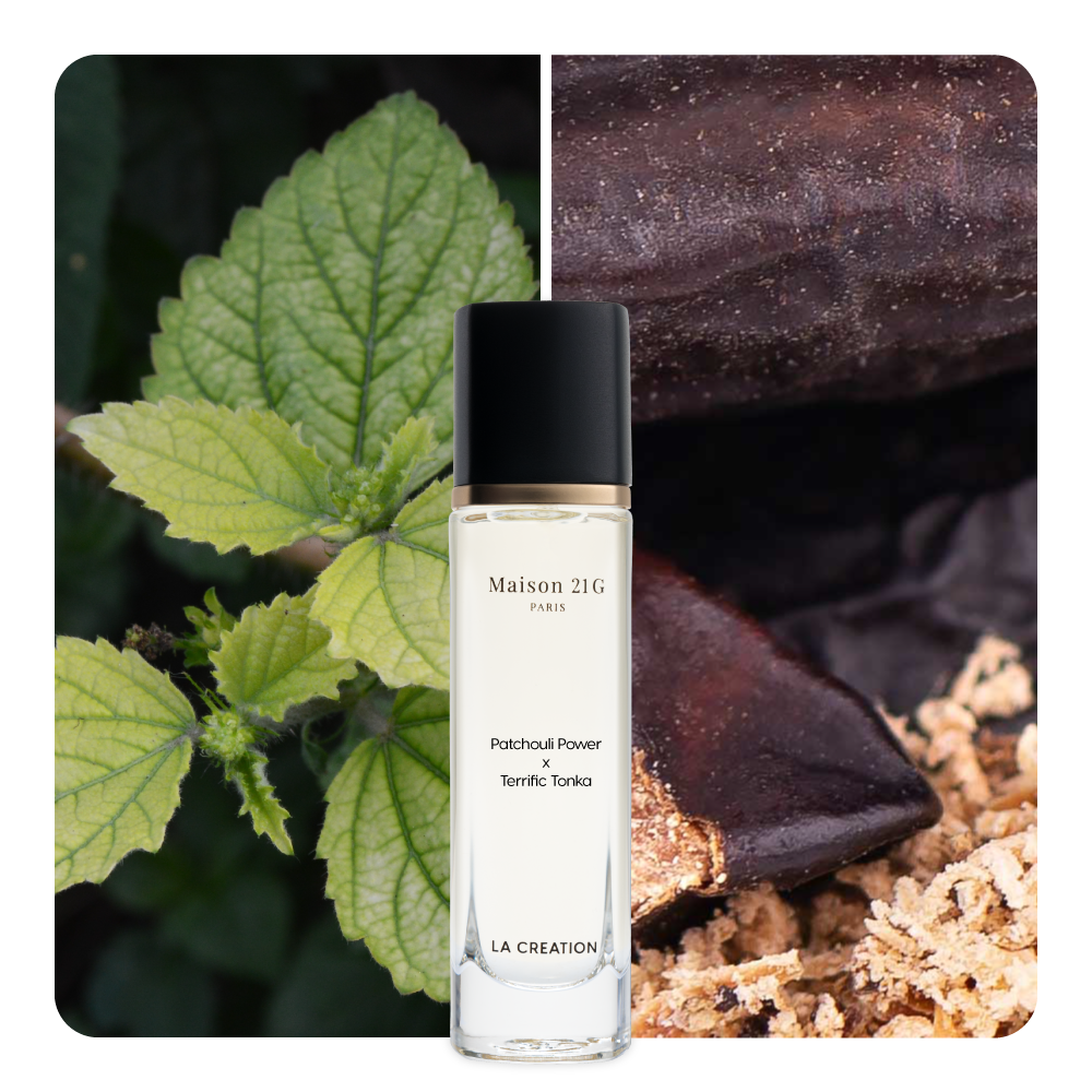 Nước hoa Patchouli Power x Terrific Tonka