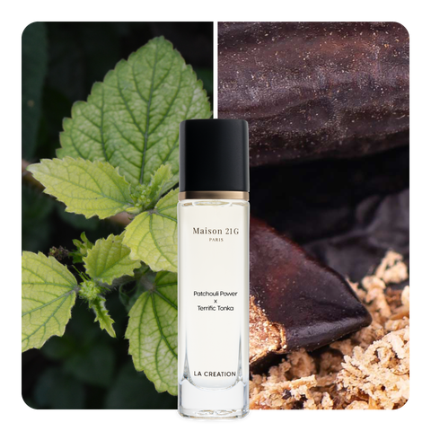 Nước hoa Patchouli Power x Terrific Tonka