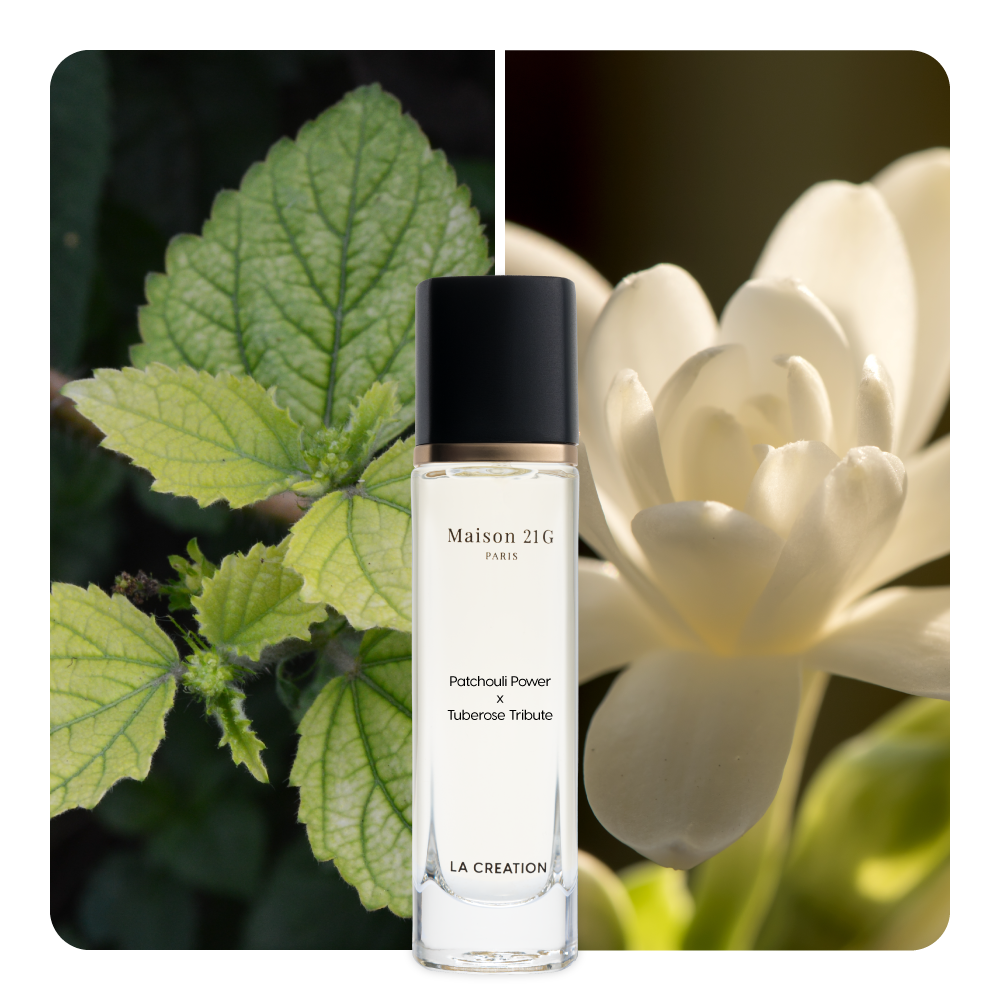 Nước hoa Patchouli Power x Tuberose Tribute