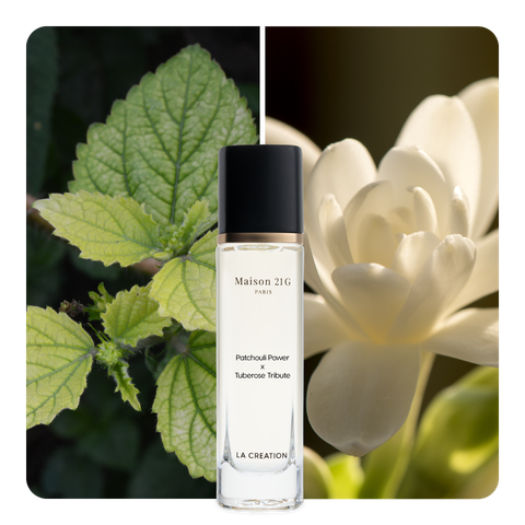 Nước hoa Patchouli Power x Tuberose Tribute