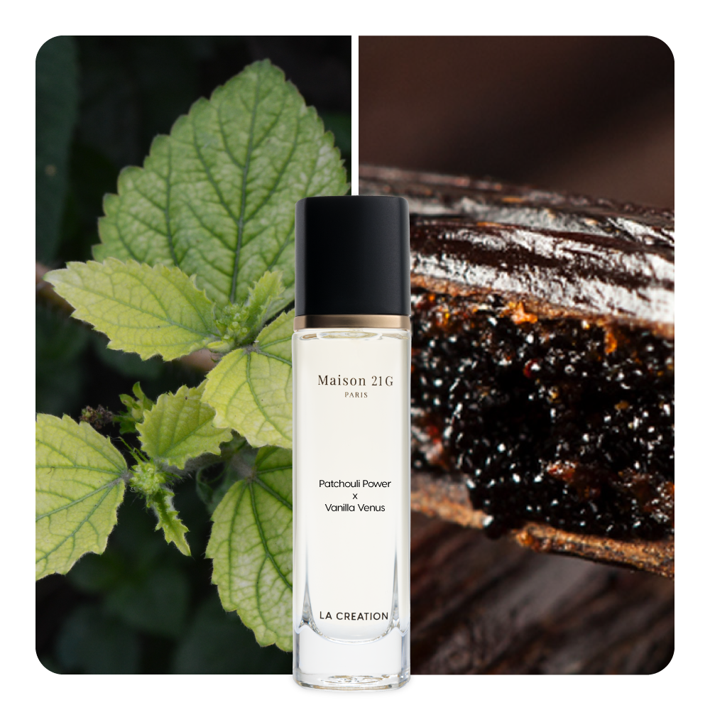 Nước hoa Patchouli Power x Vanilla Venus