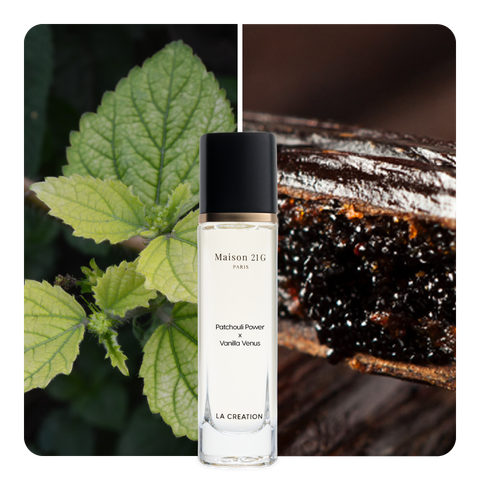 Nước hoa Patchouli Power x Vanilla Venus