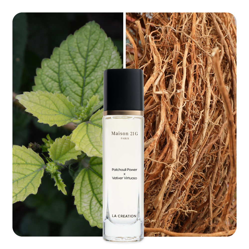 Nước hoa Patchouli Power x Vetiver Virtuoso