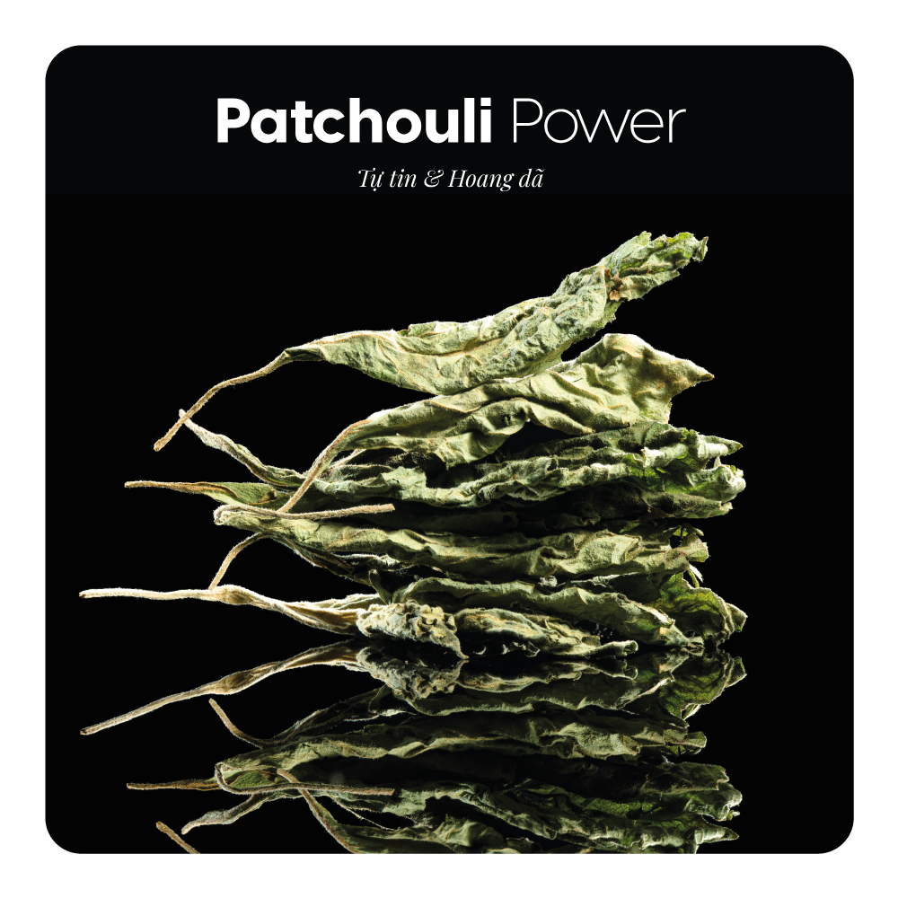 Nước hoa Patchouli Power