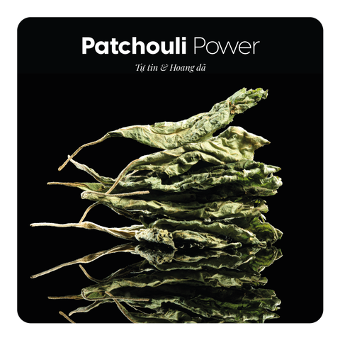 Nước hoa Patchouli Power