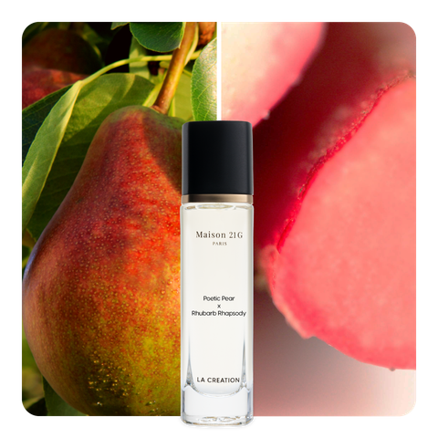 Nước hoa Poetic Pear x Rhubarb Rhapsody