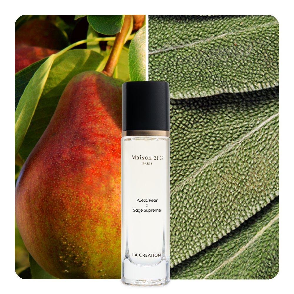 Nước hoa Poetic Pear x Sage Supreme