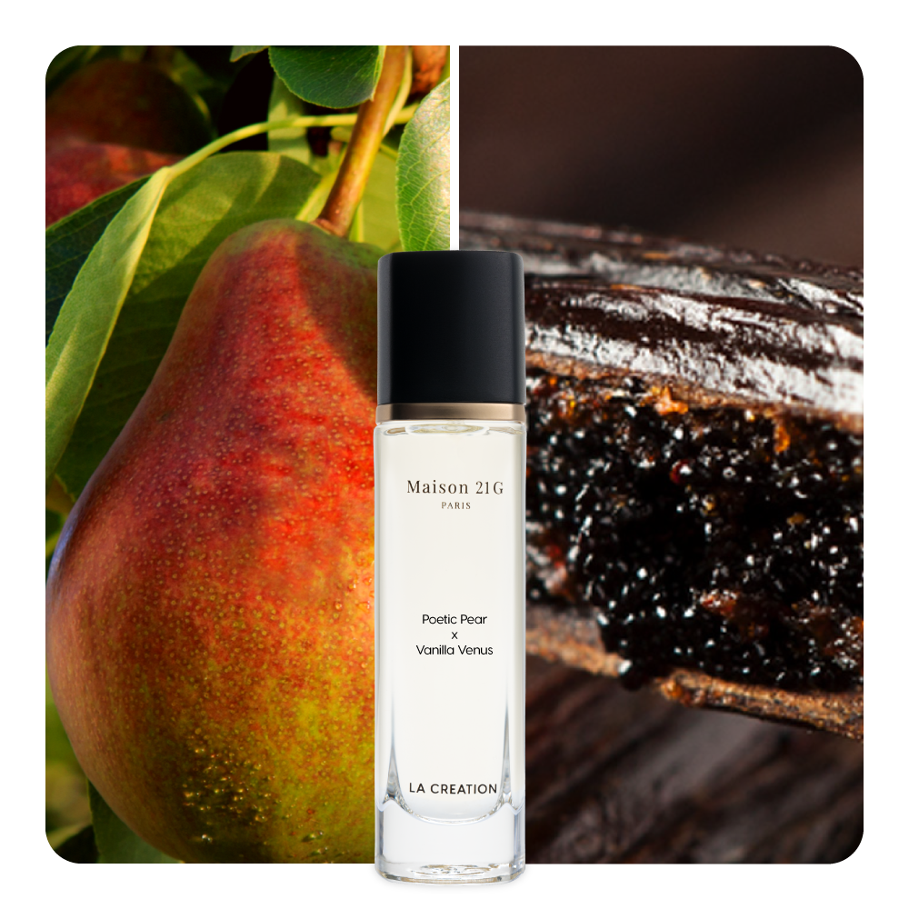 Nước hoa Poetic Pear x Vanilla Venus