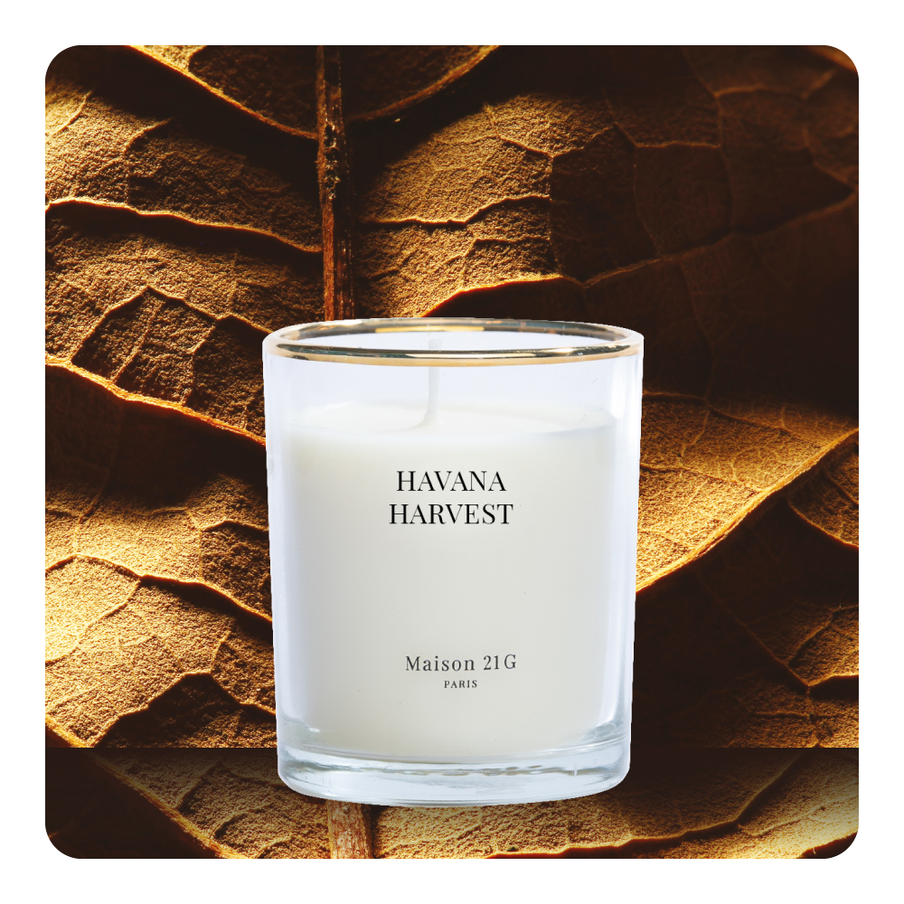 Nến mini Havana Harvest | Petites Lune