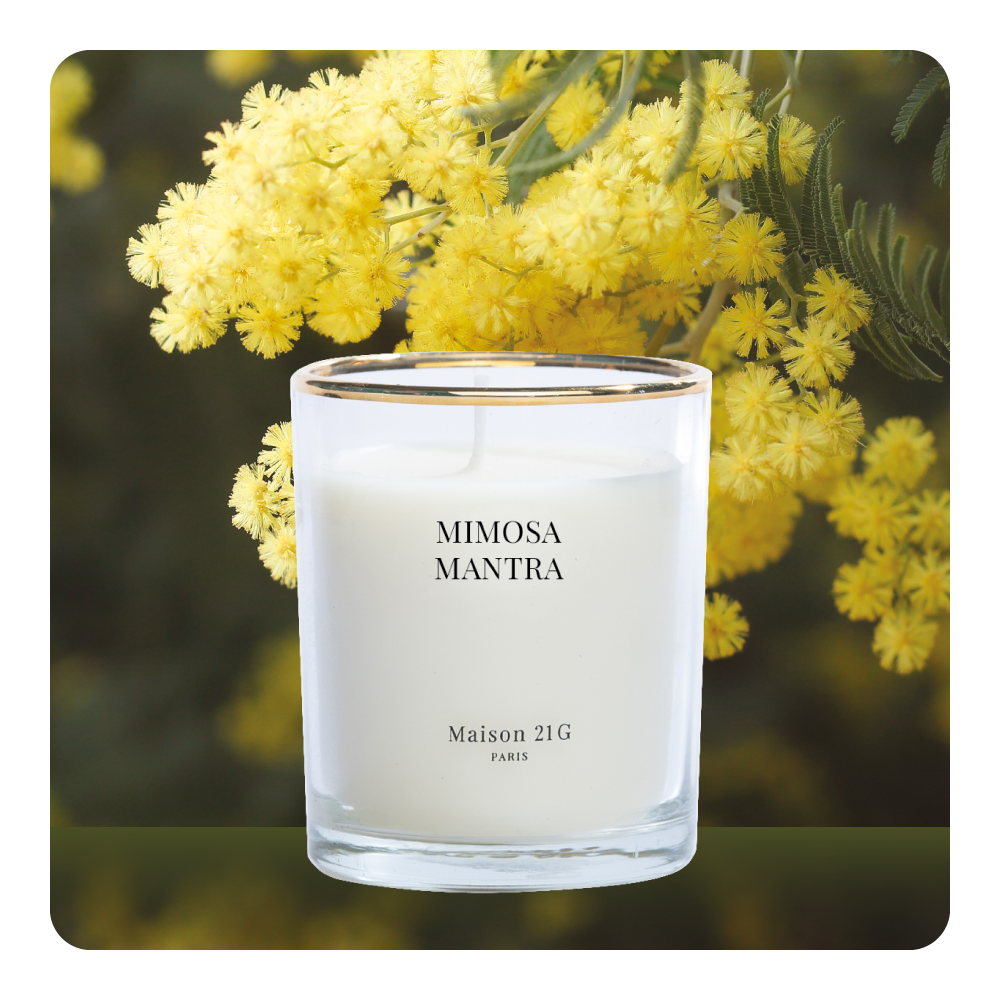 Nến mini Mimosa Mantra | Petites Lune