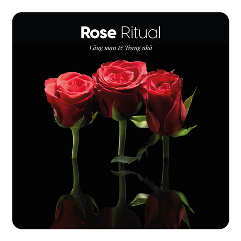 Nước hoa Rose Ritual