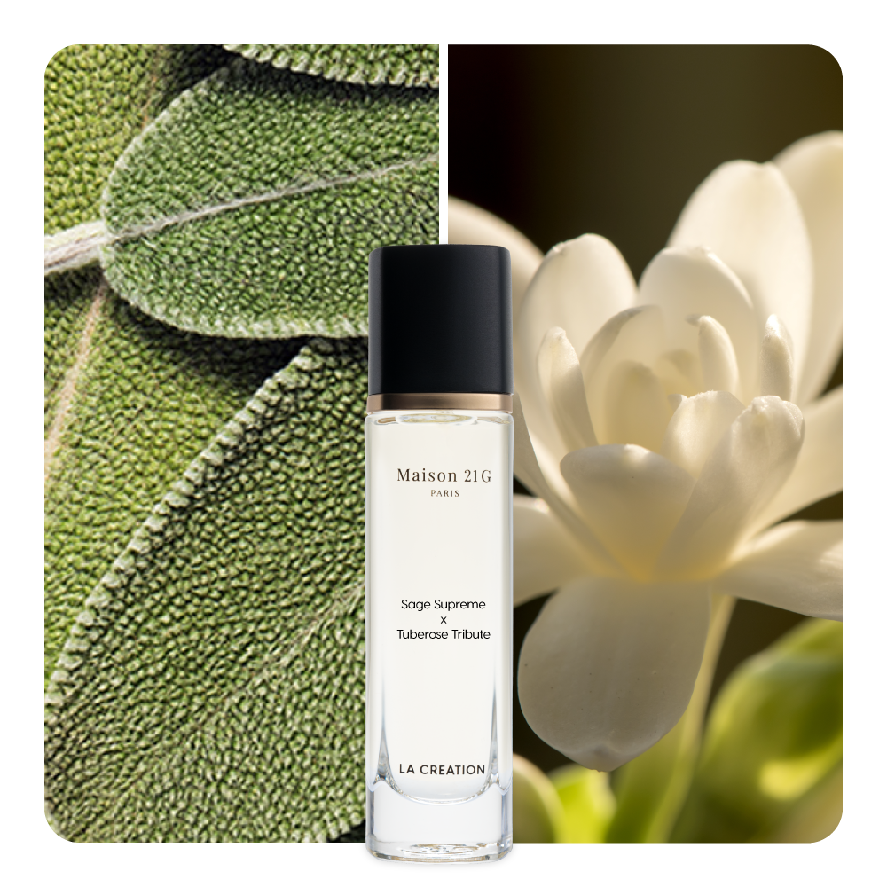 Nước hoa Sage Supreme x Tuberose Tribute