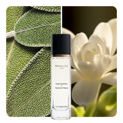 Nước hoa Sage Supreme x Tuberose Tribute