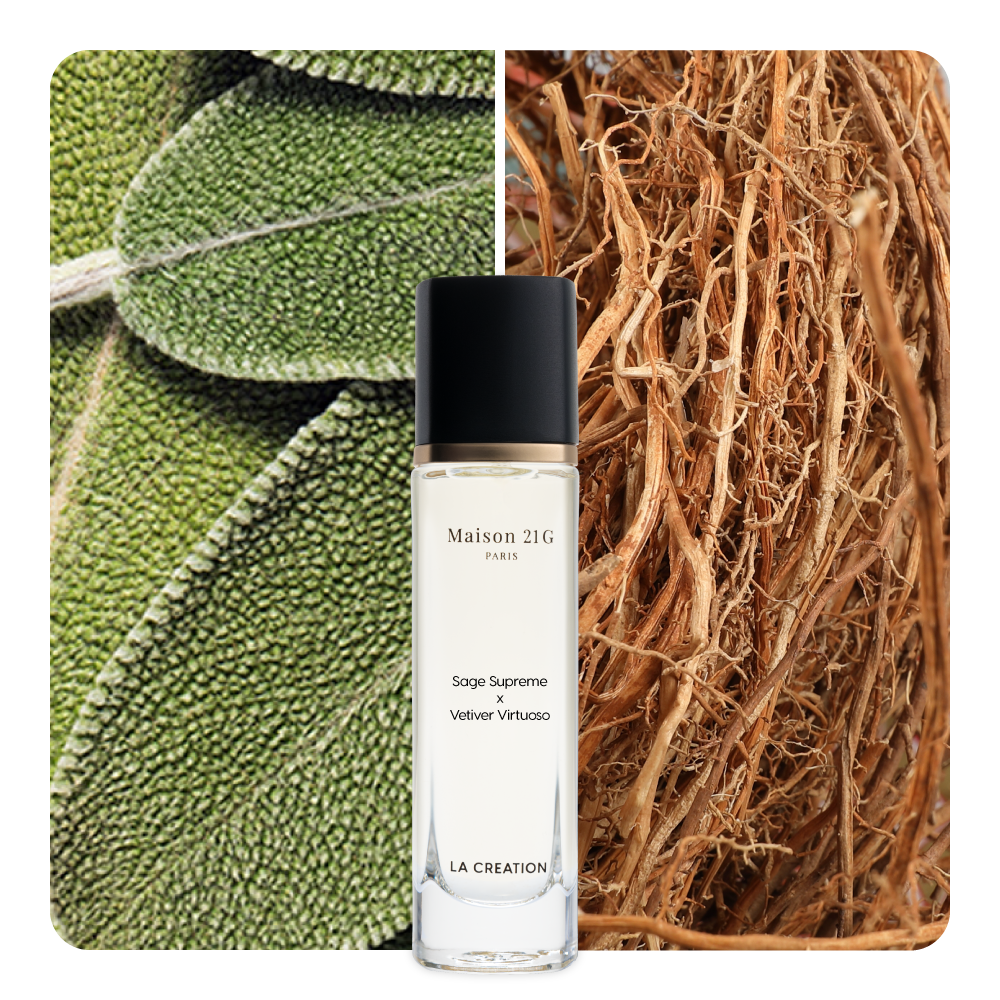 Nước hoa Sage Supreme x Vetiver Virtuoso