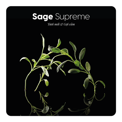 Nước hoa Sage Supreme