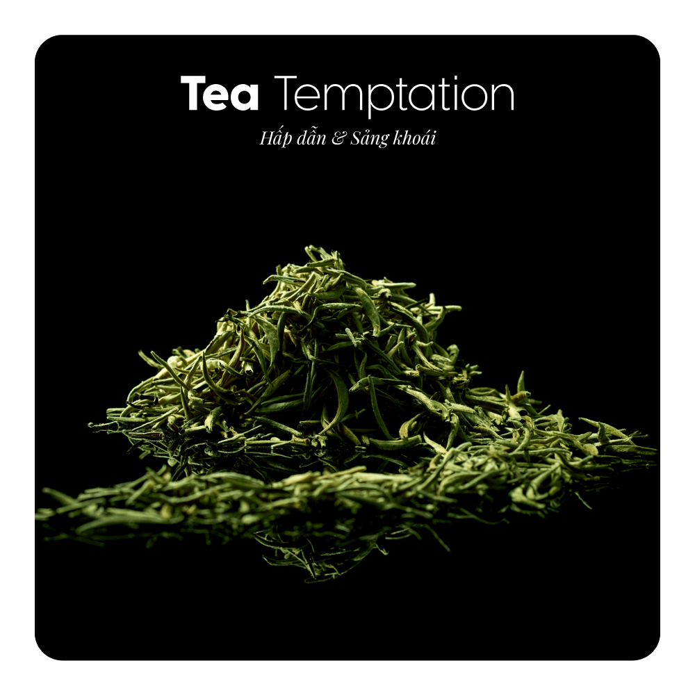 Nước hoa Tea Temptation