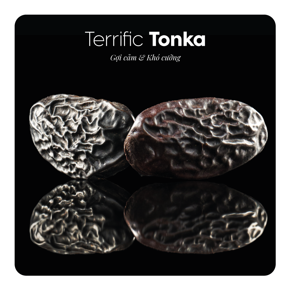 Nước hoa Terrific Tonka