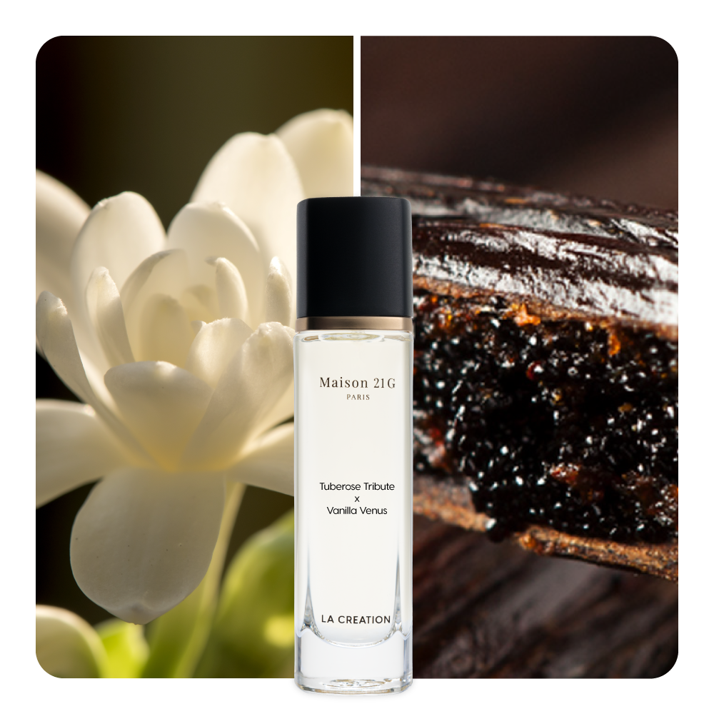 Nước hoa Tuberose Tribute x Vanilla Venus