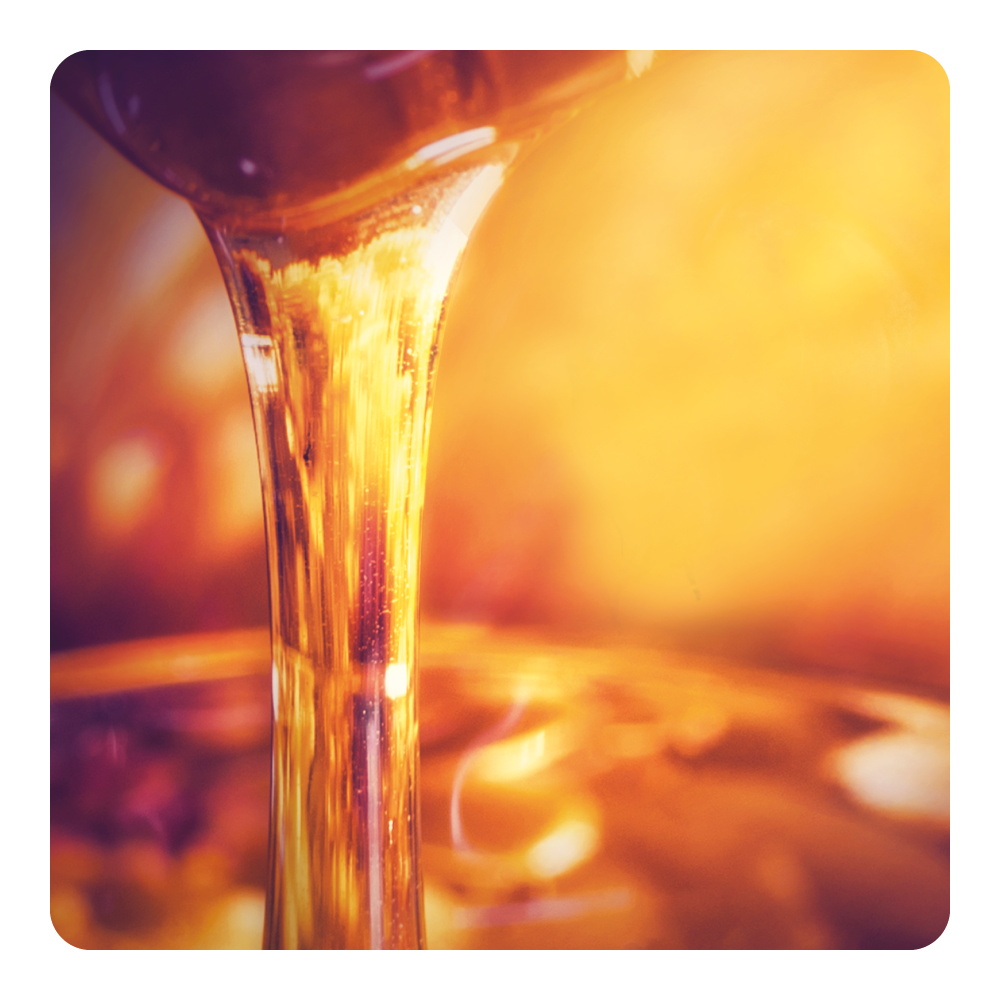 Nước hoa Honey Heaven