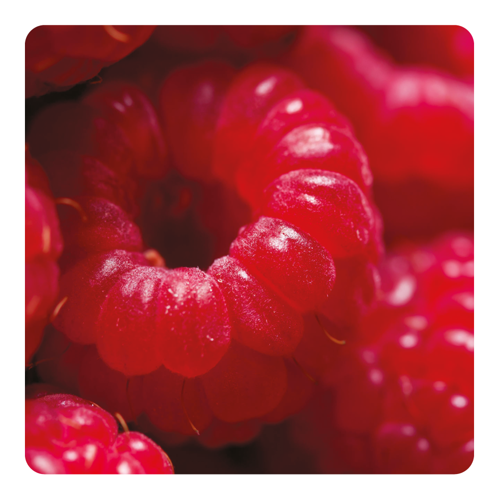 Nước hoa Raspberry Redemption