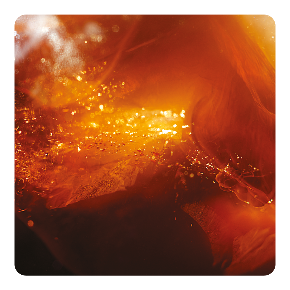 Nước hoa Secret Spirit