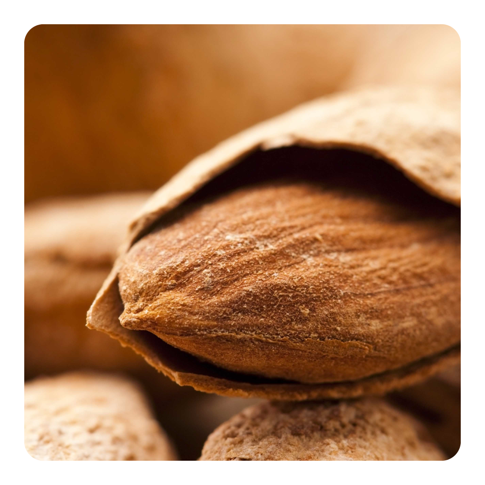 Nước hoa Almond Absolute
