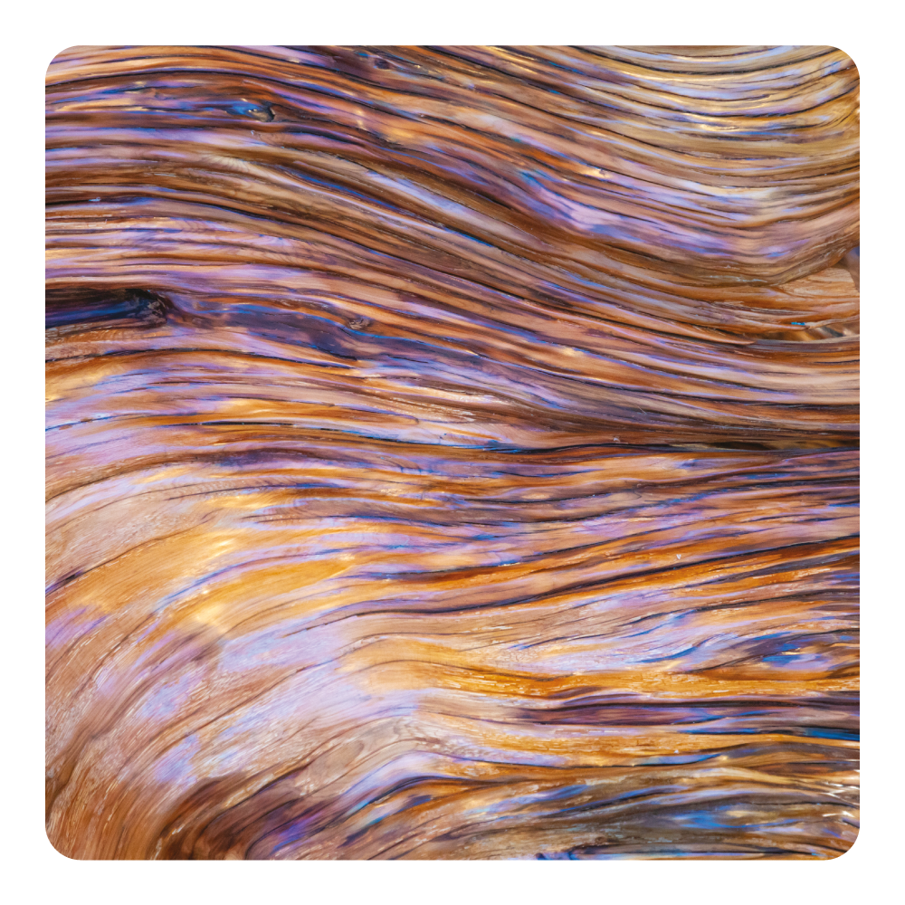 Nước hoa Sleek Sandalwood