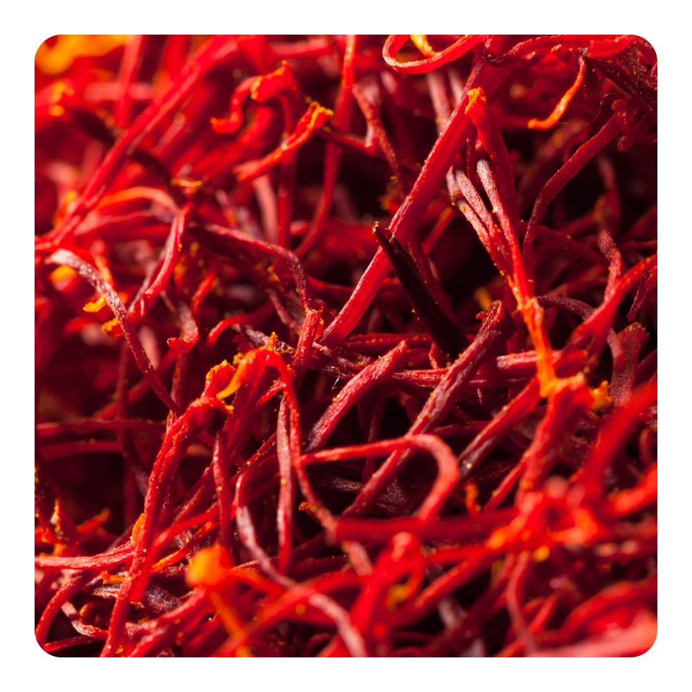 Nước hoa Solar Saffron
