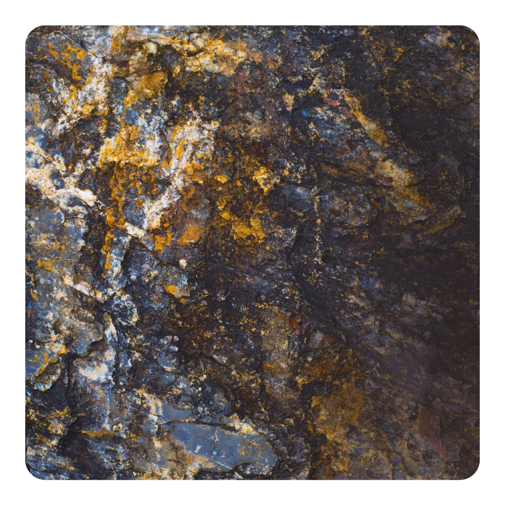 Nước hoa Ambregris Alchimie