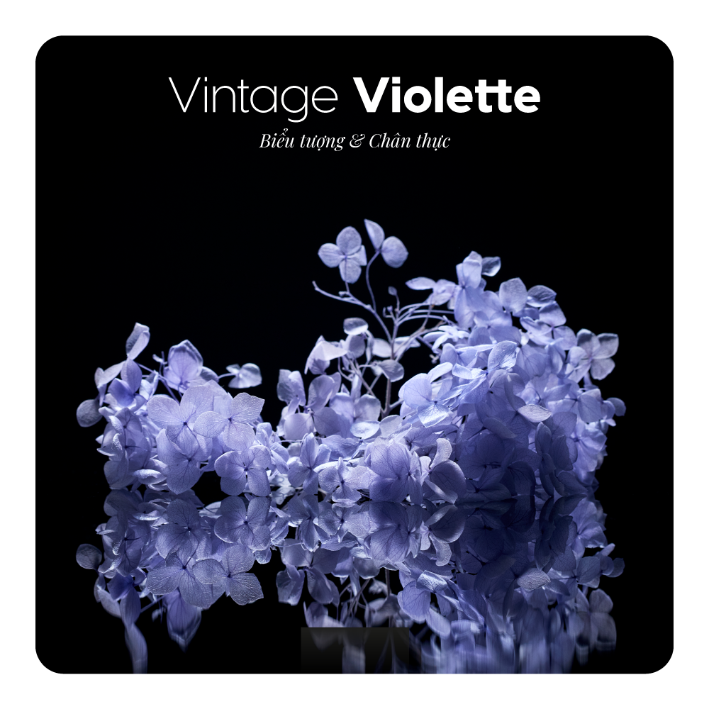 Nước hoa Vintage Violette