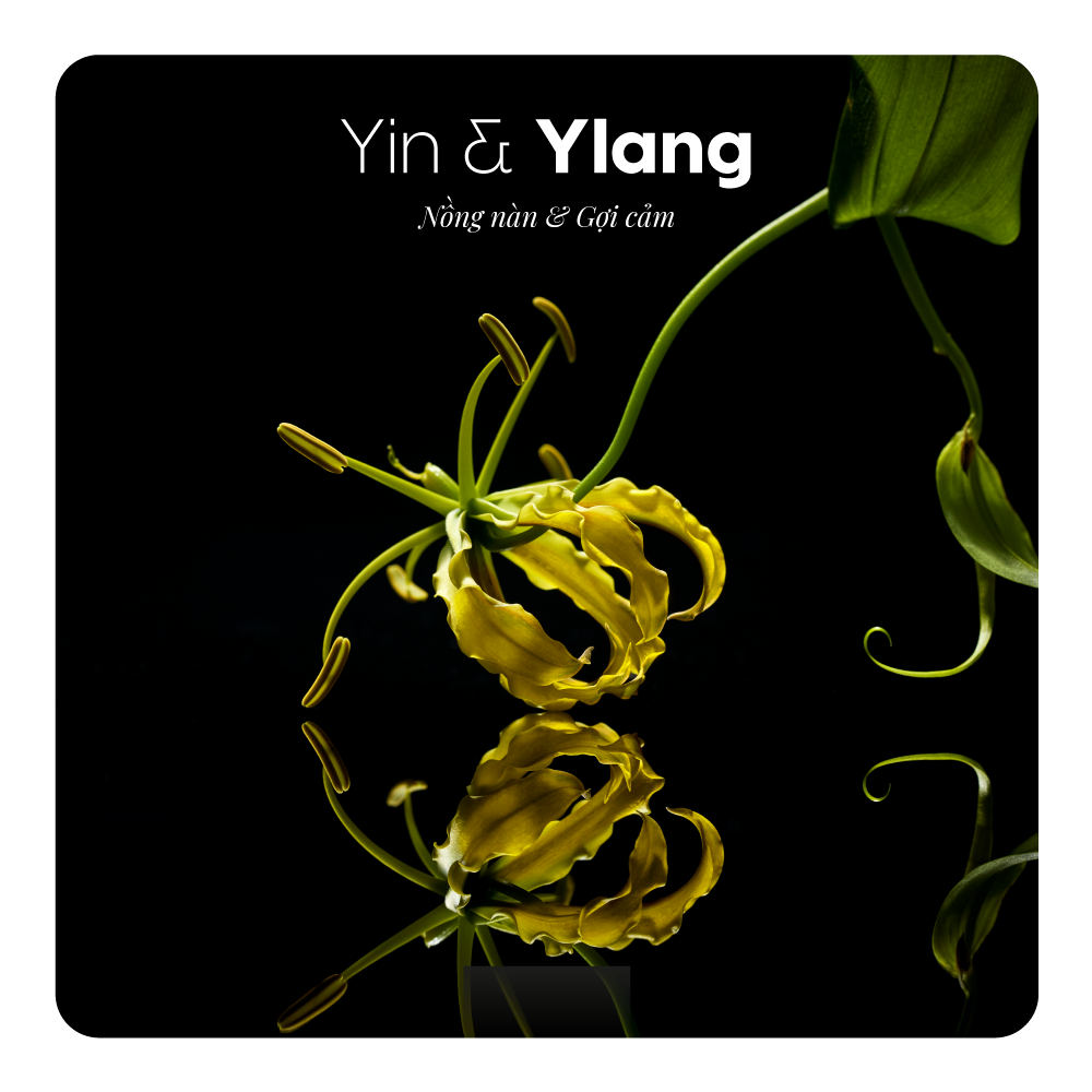 Nước hoa Yin & Ylang