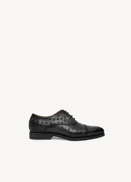  Giày Oxford Valentino Creations 
