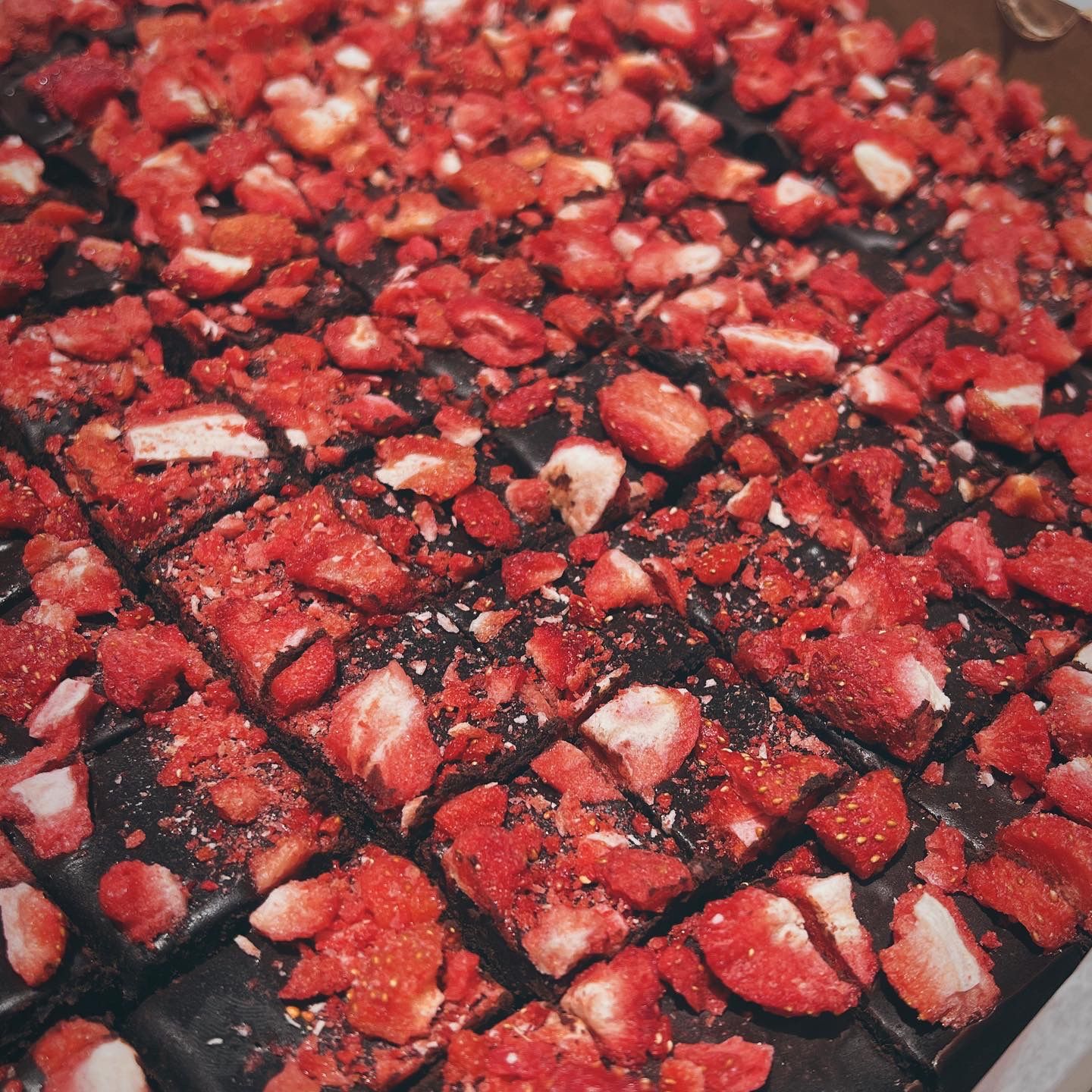  Dried Strawberry Brownies 