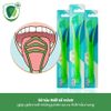 Cây cạo lưỡi Tepe Tongue Cleaner