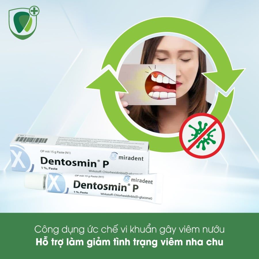 Gel hỗ trợ điều trị viêm nha chu Dentosmin P