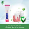 Kem đánh răng cho nướu nhạy cảm Vitis Gingival