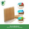 Tăm gỗ chứa Flour Tepe Wooden Dental Stick