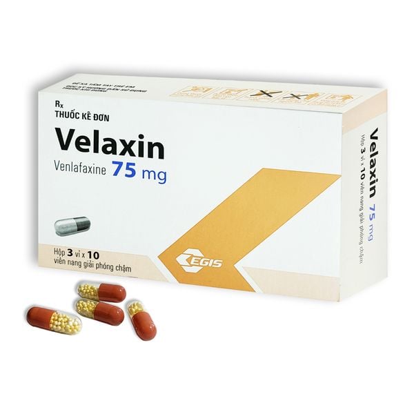  VELAXIN 