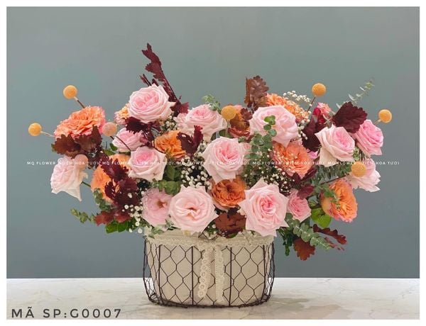  G0042-MÀU CỦA LỬA 