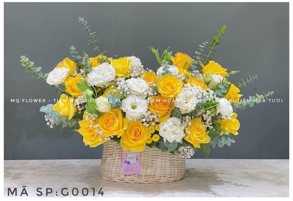  G0015-TƯƠI MỚI 