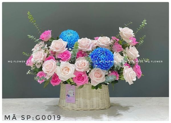  G0020-ĐẠI DƯƠNG 